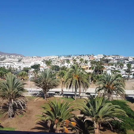 Palmeras Del Sur Juan بلايا ذي لاس أميريكاس